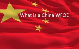 Wat is een WFOE in China en waarom lokale hulp krijgen om dingen gemakkelijker te maken?